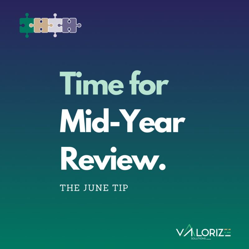 Valorize Solutions - The June Sales Tip -Time for Mid-Year Review